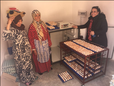 المبادرة الوطنية للتنمية البشرية رافعة لإدماج الشباب بإقليم الرحامنة حصيلة 13 سنة منة الانجازات المبادرة الوطنية للتنمية البشرية رافعة لإدماج الشباب بإقليم الرحامنة حصيلة 13 سنة منة الانجازات
