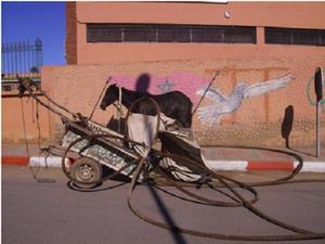 ابن جرير : إحباط عملية سرقة الحبال النحاسية الكبرى بمكتشف الفوسفاط ابن جرير : إحباط عملية سرقة الحبال النحاسية الكبرى بمكتشف الفوسفاط