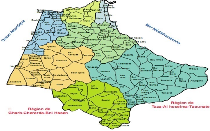 التخطيط والحكامة في منظور الجهوية الموسعة بجهة طنجة تطوان التخطيط والحكامة في منظور الجهوية الموسعة بجهة طنجة تطوان
