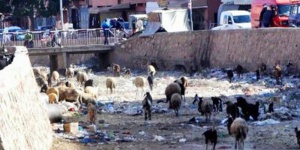 رسالة إلى المسؤولين حول استنكاف و تلكؤ في عملية تدبير قطاع النظافة بابن جرير رسالة إلى المسؤولين حول استنكاف و تلكؤ في عملية تدبير قطاع النظافة بابن جرير