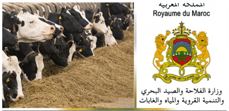 وزارة الفلاحة تطلق برنامجا خاصا لدعم علف الماشية وزارة الفلاحة تطلق برنامجا خاصا لدعم علف الماشية