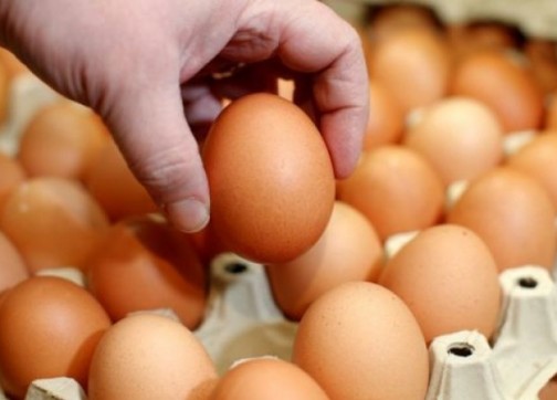 سعر البيض بالجملة 68 سنتيما.. وفي الأسواق يصل إلى درهم واحد