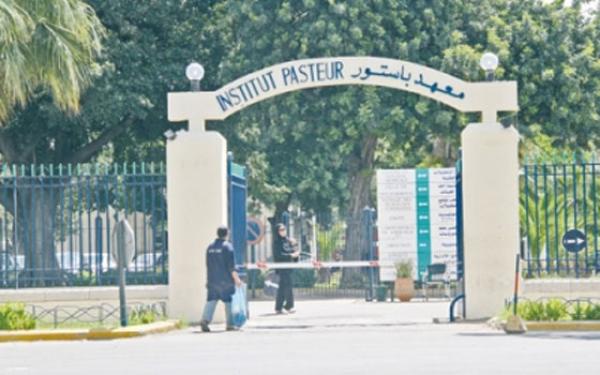 باستور" يكشف خلفيات حملة التشكيك في لقاح "أسترازينيكا باستور" يكشف خلفيات حملة التشكيك في لقاح "أسترازينيكا