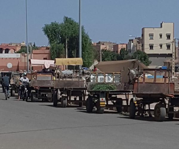 ابن جرير...المدينة الذكية...تتميز بأدنى مستويات التنمية ابن جرير...المدينة الذكية...تتميز بأدنى مستويات التنمية