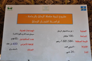 عامل اقليم الرحامنة يدشن انطلاق عملية غرس اشجار الرمان بجماعتى سكورة وسيدي عبد الله عامل اقليم الرحامنة يدشن انطلاق عملية غرس اشجار الرمان بجماعتى سكورة وسيدي عبد الله