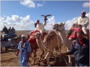 جماعة سكورة الحدرة بإقليم الرحامنة.. مهرجان اسراب تعميق التواصل....وتجسيد التنمية جماعة سكورة الحدرة بإقليم الرحامنة.. مهرجان اسراب تعميق التواصل....وتجسيد التنمية