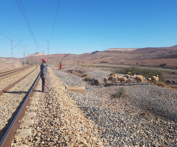  مشاكل دوار أولاد بركة جماعة سيدي عبد الله بالرحامنة مع خطر خطي السكك الحديدية.