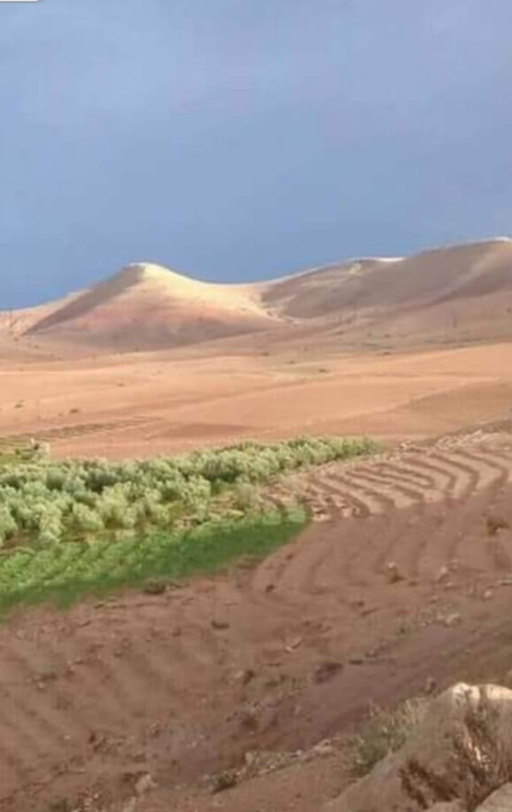 سكان البوادي في الرحامنة يطلقون تسميات غريبة على المرتفعات والهضاب القريبة من مقر دواويرهم. سكان البوادي في الرحامنة يطلقون تسميات غريبة على المرتفعات والهضاب القريبة من مقر دواويرهم.