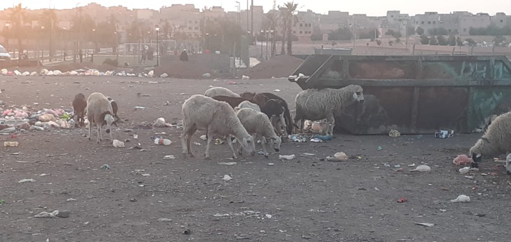   ابن جرير :اجتياح غير مبرر لأرصفة الشوارع بالمدينة....أزبال متراكمة وحدائق عمومية تحتضر !