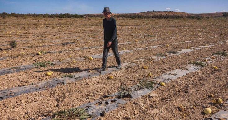 تحذيرات من التلاعب بأموال برنامج مواجهة الجفاف وصرفه لمن لا يستحق من كبار الفلاحين تحذيرات من التلاعب بأموال برنامج مواجهة الجفاف وصرفه لمن لا يستحق من كبار الفلاحين