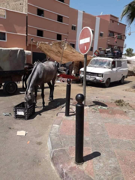 درجة التفوق والنجاح منعدمة....المجلس الحضري لابن جرير لايقر بالفشل... درجة التفوق والنجاح منعدمة....المجلس الحضري لابن جرير لايقر بالفشل...