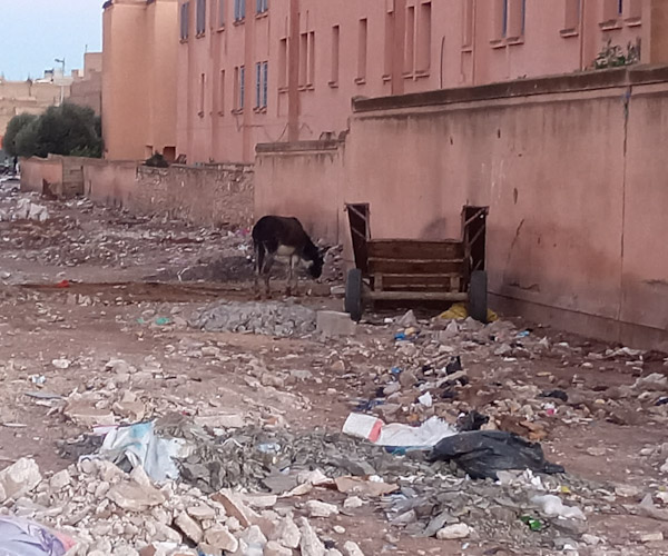  حال مدينة ابن جرير "الذكية "مؤسف للغاية...الحصيلة وضع يبعث على القلق! 