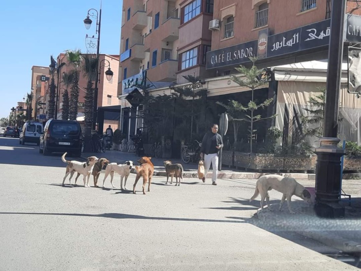 حال مدينة ابن جرير "الذكية " مؤسف للغاية...الحصيلة :وضع يبعث على القلق (تابع ) حال مدينة ابن جرير "الذكية " مؤسف للغاية...الحصيلة :وضع يبعث على القلق (تابع )