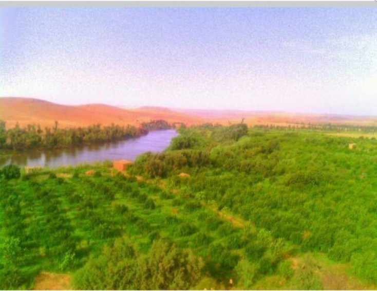 صرخة استغاثة من فلاحي جماعة سيدي عبد الله الرحامنة ومشرع بن عبو. صرخة استغاثة من فلاحي جماعة سيدي عبد الله الرحامنة ومشرع بن عبو.