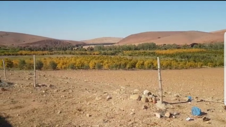 صرخة استغاثة من فلاحي جماعة سيدي عبد الله الرحامنة ومشرع بن عبو. صرخة استغاثة من فلاحي جماعة سيدي عبد الله الرحامنة ومشرع بن عبو.