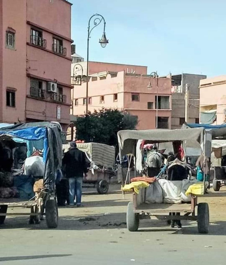  ابن جرير :العربة المجرورة...وسيلة نقل من لا وسيلة له في المدينة "الذكية "