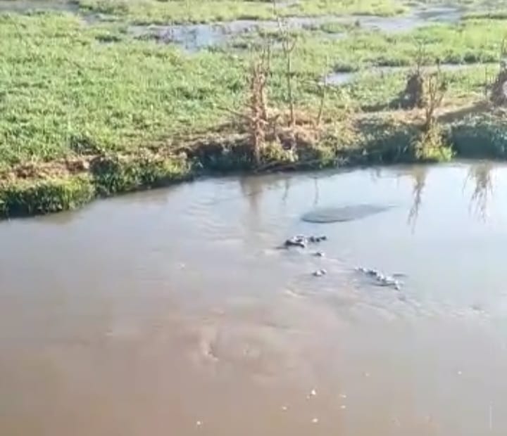 محطة معالجة المياه العادمة بابن جرير وكارثة "الناموس"الصحية والبيئية على السكان محطة معالجة المياه العادمة بابن جرير وكارثة "الناموس"الصحية والبيئية على السكان