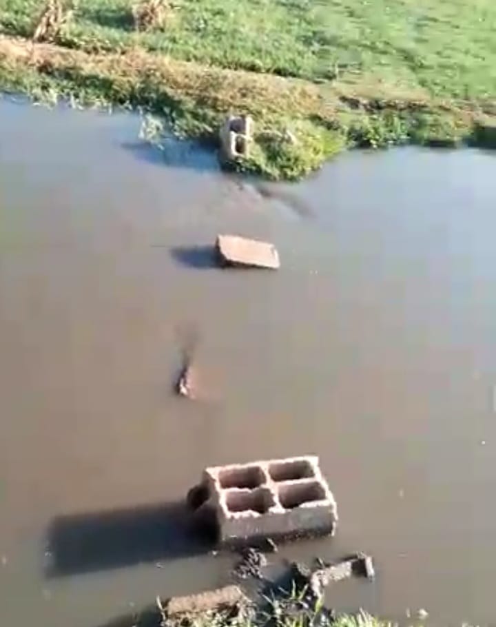 محطة معالجة المياه العادمة بابن جرير وكارثة "الناموس"الصحية والبيئية على السكان محطة معالجة المياه العادمة بابن جرير وكارثة "الناموس"الصحية والبيئية على السكان