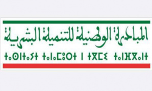 المبادرة الوطنية للتنمية البشرية.. تجويد الخدمات المقدمة للأشخاص في وضعية إعاقة في صلب لقاء تواصلي باليوسفية