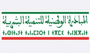 سيدي إفني.. اللجنة الإقليمية للتنمية البشرية تصادق على مشاريع تنموية