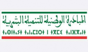 إقليم تزنيت.. الإعلان عن طلب اقتراح مشاريع في إطار برنامج تحسين الدخل والإدماج الاقتصادي للشباب