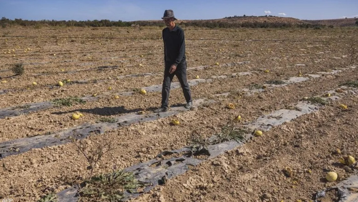 “أطاك”: الاستغلال الفاحش للمياه في فلاحة غير سيادية أجهض على الموارد المائية للمغرب