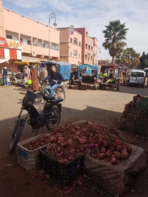 تحرير الملك العمومي من الاحتلال بابن جرير.... باشا المدينة عاجز والظاهرةتستفحل شرارتها تحرير الملك العمومي من الاحتلال بابن جرير.... باشا المدينة عاجز والظاهرةتستفحل شرارتها