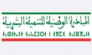 إقليم طاطا.. اللجنة الإقليمية للتنمية البشرية تصادق على 52 مشروعا بغلاف يفوق 10 ملايين درهم