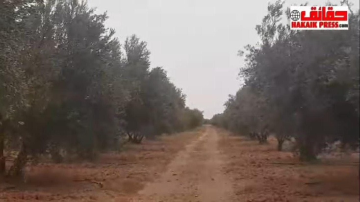 ندرة الماء. بالرحامنة...لم تعد تشكل عائقا..اذا كان الامر يتعلق برياضة التزلج على الماء...! ندرة الماء. بالرحامنة...لم تعد تشكل عائقا..اذا كان الامر يتعلق برياضة التزلج على الماء...!