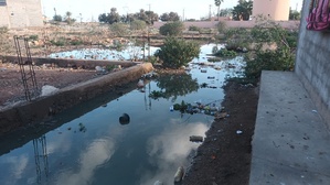 الصرف الصحي يشكل تهديدا مستمرا لصحة المواطنين والمسؤولون لا يبالون بجماعة انزالة لعظم اقليم الرحامنة!(فيديو) الصرف الصحي يشكل تهديدا مستمرا لصحة المواطنين والمسؤولون لا يبالون بجماعة انزالة لعظم اقليم الرحامنة!(فيديو)
