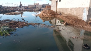 الصرف الصحي يشكل تهديدا مستمرا لصحة المواطنين والمسؤولون لا يبالون بجماعة انزالة لعظم اقليم الرحامنة!(فيديو) الصرف الصحي يشكل تهديدا مستمرا لصحة المواطنين والمسؤولون لا يبالون بجماعة انزالة لعظم اقليم الرحامنة!(فيديو)