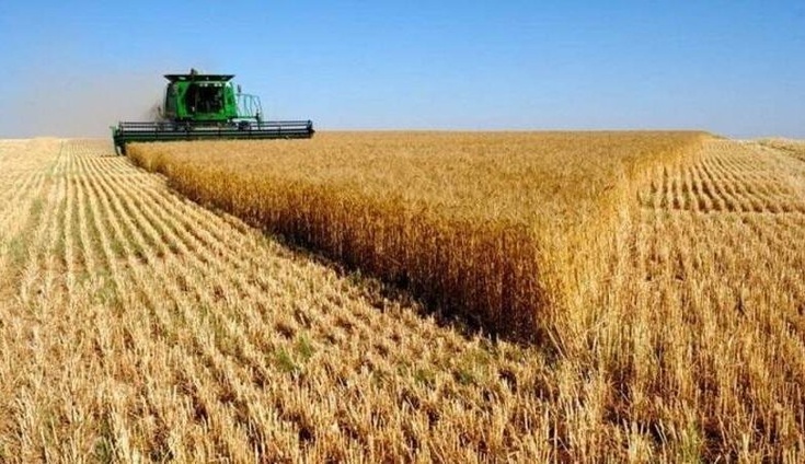 المغرب يشهد انطلاق موسم الحصاد مع توقعات بمحصول حبوب وفير بفضل الأمطار الغزيرة المغرب يشهد انطلاق موسم الحصاد مع توقعات بمحصول حبوب وفير بفضل الأمطار الغزيرة