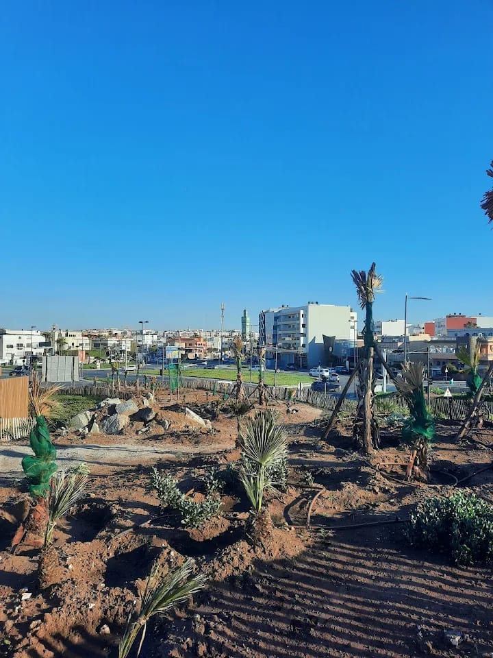 كورنيش عين السبع: واجهة سياحية تتحول إلى وصمة عار كورنيش عين السبع: واجهة سياحية تتحول إلى وصمة عار