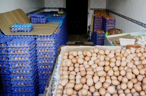 "أونسا" تحذر المغاربة من  البيض خلال شهر رمضان