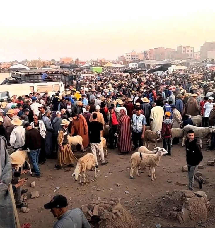 قلة عرض الأضاحي بسوق المواشي بقلعة السراغنة وارتفاع أسعارها يثيران غضب المواطنين