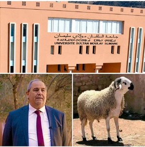 حين يعاقب الوزير جامعة كاملة بالصمت والشلل.. ويهدد أسرا بحرمانها من أضحية العيد