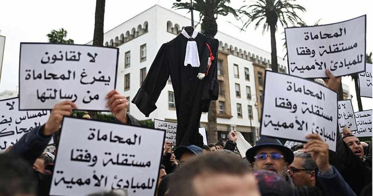 عودة المحامين إلى المحاكم.. مطالب للمنصوري بمراجعة فورية لقانون المهنة وإنهاء الأزمة