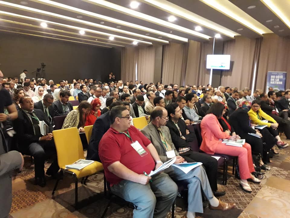 انعقاد الدورة الأولى من الندوة العلمية الدولية حول الهندسة الغابوية  تحت شعار : "الهندسة الغابوية: رافعة أساسية لبرنامج التنمية المستدامة في أفق 2030" انعقاد الدورة الأولى من الندوة العلمية الدولية حول الهندسة الغابوية  تحت شعار : "الهندسة الغابوية: رافعة أساسية لبرنامج التنمية المستدامة في أفق 2030"