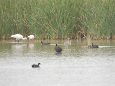 المديرية الجهوية للمياه والغابات ومحاربة التصحر للشمال الغربي  تخلد اليوم العالمي للمناطق الرطبة المديرية الجهوية للمياه والغابات ومحاربة التصحر للشمال الغربي  تخلد اليوم العالمي للمناطق الرطبة