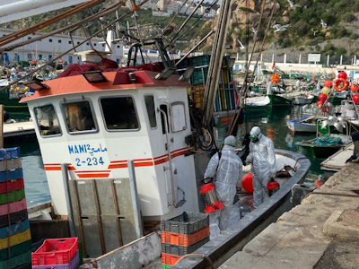خلو ركاب مراكب الصيد الساحلي التي حلت بميناء  الحسيمـة من اعراض فيروس كورونا خلو ركاب مراكب الصيد الساحلي التي حلت بميناء  الحسيمـة من اعراض فيروس كورونا
