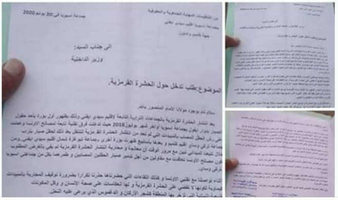  تنظيمات جمعوية ومهنية تراسل الجهات الرسمية بخصوص الحشرة القرمزية التي سحقت الصبار