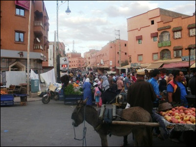 هل مدينة ابن جرير تشكل استثناء في محاربة احتلال الملك العمومي؟ هل مدينة ابن جرير تشكل استثناء في محاربة احتلال الملك العمومي؟