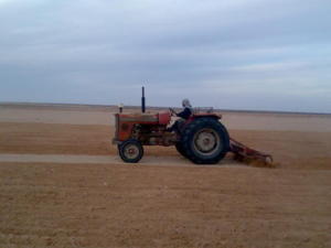 الرحامنة....موسم فلاحي جيد ومطالب بالتدقيق في اختلالات التأمين عن مخاطر الجفاف الرحامنة....موسم فلاحي جيد ومطالب بالتدقيق في اختلالات التأمين عن مخاطر الجفاف