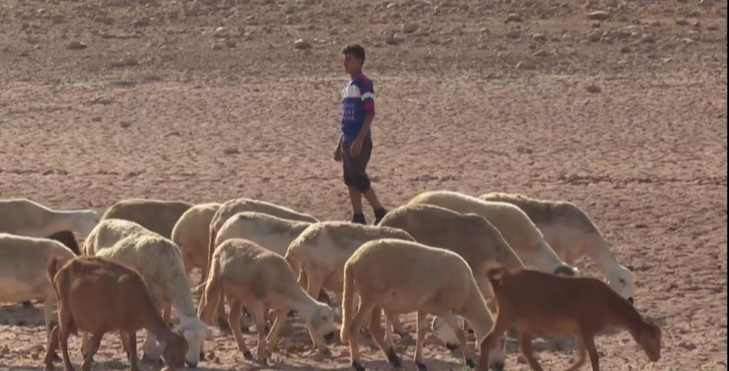 أسوأ جفاف يعرفه المغرب منذ 40 سنة ينهك سكان البوادي ويهدد سكان المدن بالعطش