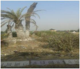 تـــارودانت: جماعة مشرع العين تستغيث من ممارسة رئيسها. تـــارودانت: جماعة مشرع العين تستغيث من ممارسة رئيسها.