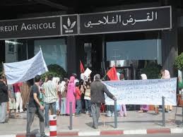 تحقيق داخل دهاليز 'القرض الفلاحي' تحقيق داخل دهاليز 'القرض الفلاحي'