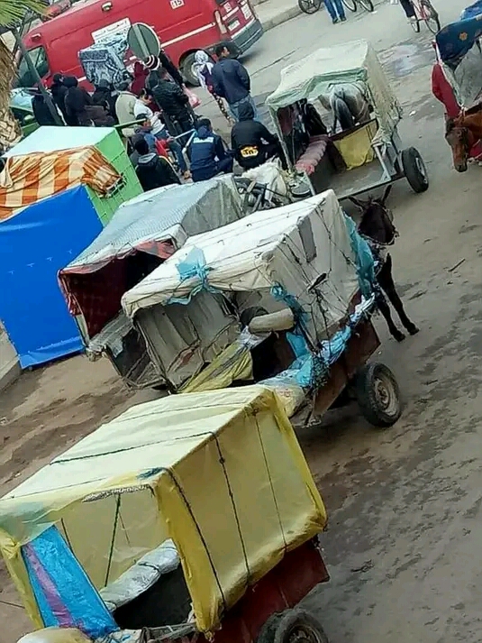 ابن جرير :العربة المجرورة...وسيلة نقل من لا وسيلة له في المدينة "الذكية "