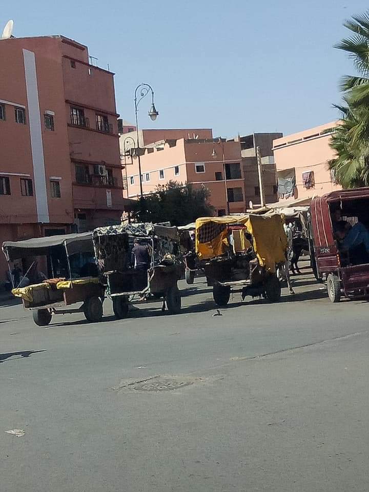  ابن جرير :العربة المجرورة...وسيلة نقل من لا وسيلة له في المدينة "الذكية "