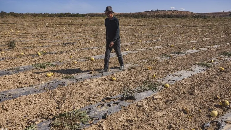 “أطاك”: الاستغلال الفاحش للمياه في فلاحة غير سيادية أجهض على الموارد المائية للمغرب