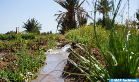الدورة ال17 من المعرض الدولي للفلاحة بالمغرب تسلط الضوء على الإشكالية الشائكة المرتبطة بالماء الدورة ال17 من المعرض الدولي للفلاحة بالمغرب تسلط الضوء على الإشكالية الشائكة المرتبطة بالماء